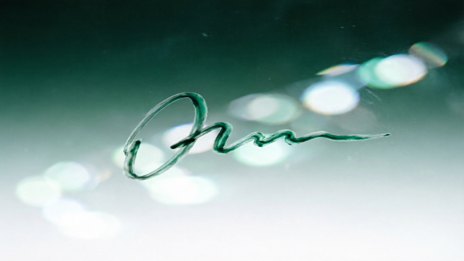 How to Make a Signature Transparent for Documents